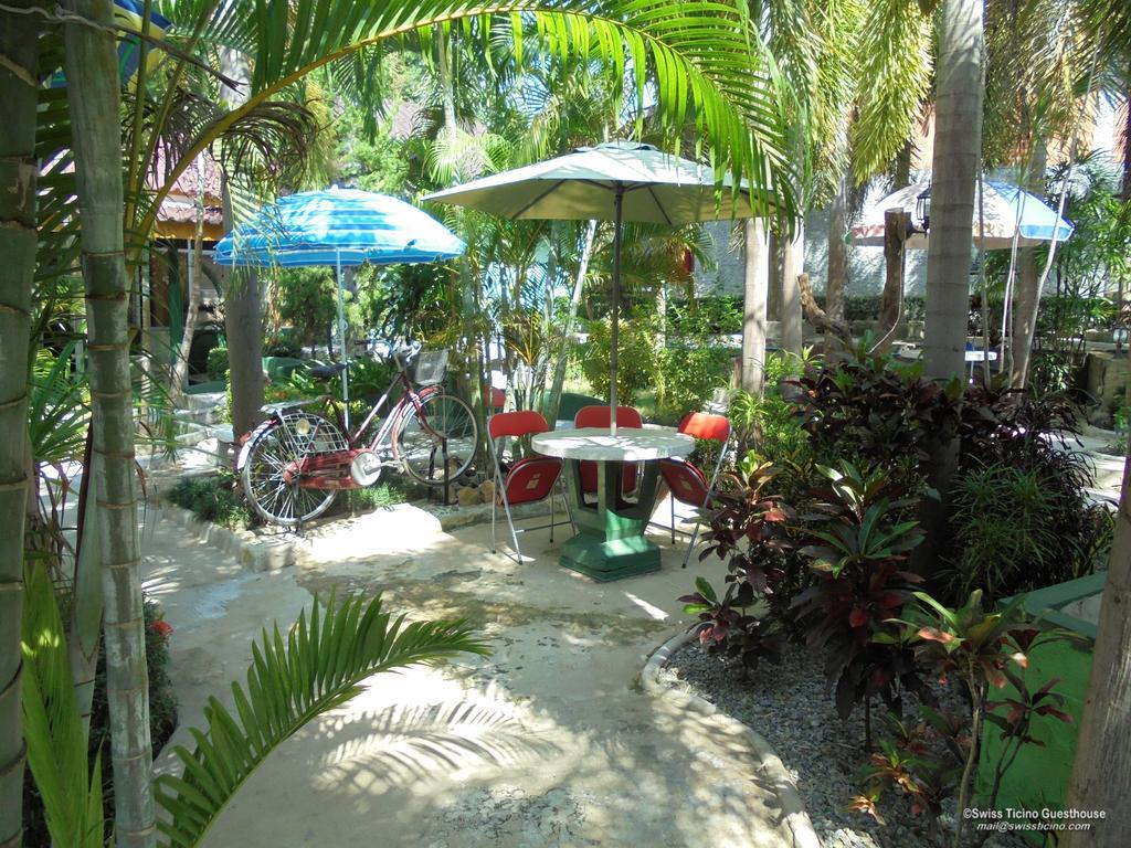 Swiss Ticino Guesthouse & Restaurant Mae Wang Extérieur photo